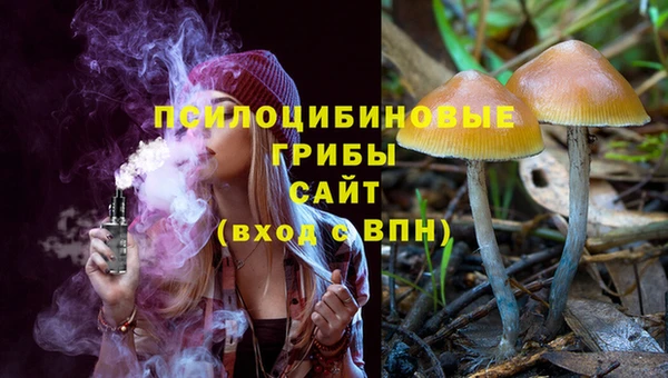 ALPHA PVP Алексеевка