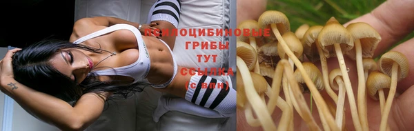 ALPHA PVP Алексеевка