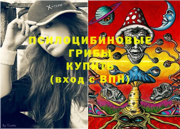 мдпв Абдулино