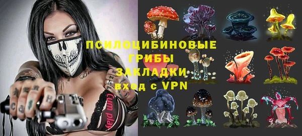 ALPHA PVP Алексеевка