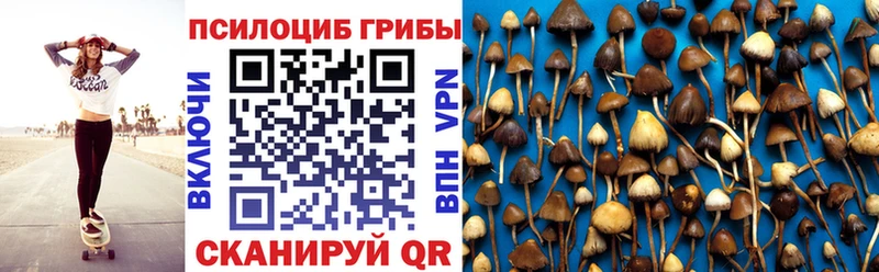 Галлюциногенные грибы Psilocybe  Данилов 